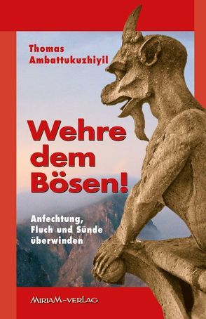 Wehre dem Bösen! von Ambattukuzhiyil,  Thomas