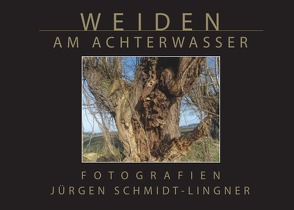 Weiden am Achterwasser von Schmidt-Lingner,  Jürgen
