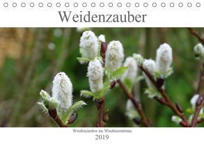 Weidenzauber (Tischkalender 2019 DIN A5 quer) von Friese,  Susanne