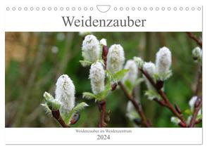 Weidenzauber (Wandkalender 2024 DIN A4 quer), CALVENDO Monatskalender von Friese,  Susanne