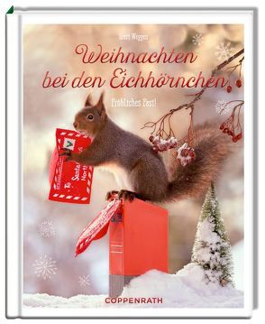 Weihnachten bei den Eichhörnchen von Weggen,  Geert