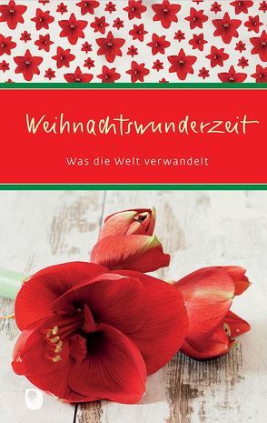 Weihnachtswunderzeit von Osenberg-van Vugt,  Ilka (Hrsg)