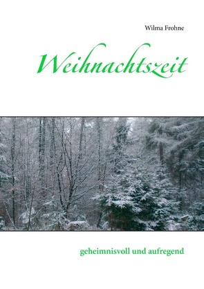 Weihnachtszeit von Frohne,  Wilma