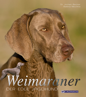 Weimaraner von Becker,  Jochen, Nitschke,  Bettina