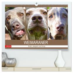 Weimaraner. Edel, elegant und klug (hochwertiger Premium Wandkalender 2024 DIN A2 quer), Kunstdruck in Hochglanz von Hurley,  Rose