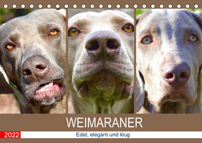 Weimaraner. Edel, elegant und klug (Tischkalender 2022 DIN A5 quer) von Hurley,  Rose