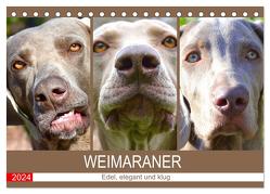 Weimaraner. Edel, elegant und klug (Tischkalender 2024 DIN A5 quer), CALVENDO Monatskalender von Hurley,  Rose