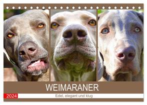 Weimaraner. Edel, elegant und klug (Tischkalender 2024 DIN A5 quer), CALVENDO Monatskalender von Hurley,  Rose