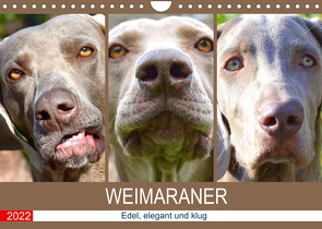 Weimaraner. Edel, elegant und klug (Wandkalender 2022 DIN A4 quer) von Hurley,  Rose