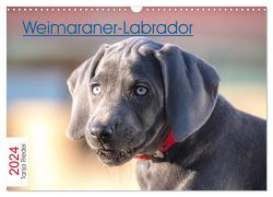 Weimaraner-Labrador (Wandkalender 2024 DIN A3 quer), CALVENDO Monatskalender von Riedel,  Tanja