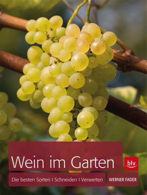 Wein im Garten von Fader,  Werner