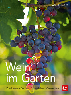 Wein im Garten von Fader,  Werner