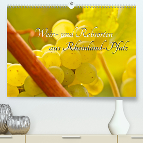 Wein- und Rebsorten aus Rheinland-Pfalz (Premium, hochwertiger DIN A2 Wandkalender 2022, Kunstdruck in Hochglanz) von Eberlein,  Andreas, Kärcher,  Markus