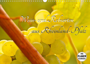 Wein- und Rebsorten aus Rheinland-Pfalz (Wandkalender 2022 DIN A3 quer) von Eberlein,  Andreas, Kärcher,  Markus