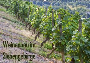 Weinanbau im Siebengebirge (Wandkalender 2019 DIN A2 quer) von Leonhardy,  Thomas