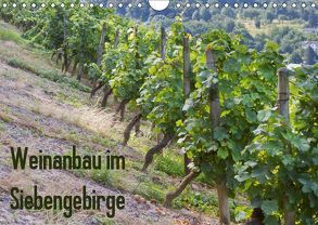 Weinanbau im Siebengebirge (Wandkalender 2019 DIN A4 quer) von Leonhardy,  Thomas