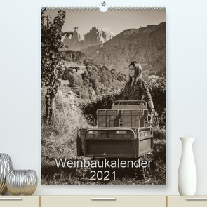 Weinbaukalender 2021 (Premium, hochwertiger DIN A2 Wandkalender 2021, Kunstdruck in Hochglanz) von Zippl,  Werner