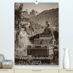 Weinbaukalender 2023 (Premium, hochwertiger DIN A2 Wandkalender 2023, Kunstdruck in Hochglanz) von Zippl,  Werner
