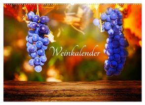 Weinkalender (Wandkalender 2024 DIN A2 quer), CALVENDO Monatskalender von Tänzer / Fotoknips,  Kay