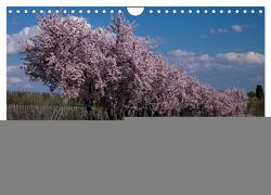 Weinland Pfalz – Region Südliche Weinstraße (Wandkalender 2024 DIN A4 quer), CALVENDO Monatskalender von by Franz Tangermann,  Photographie