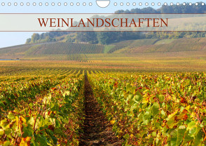 Weinlandschaften (Wandkalender 2024 DIN A4 quer) von Schittenhelm,  Elisabeth