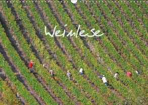 Weinlese (Wandkalender 2019 DIN A3 quer) von v.d. Lese,  Hans