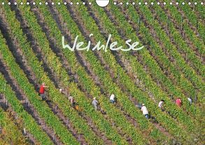 Weinlese (Wandkalender 2019 DIN A4 quer) von v.d. Lese,  Hans