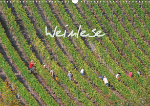 Weinlese (Wandkalender 2020 DIN A3 quer) von v.d. Lese,  Hans