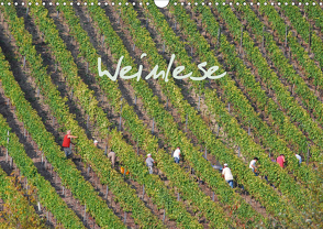 Weinlese (Wandkalender 2021 DIN A3 quer) von v.d. Lese,  Hans