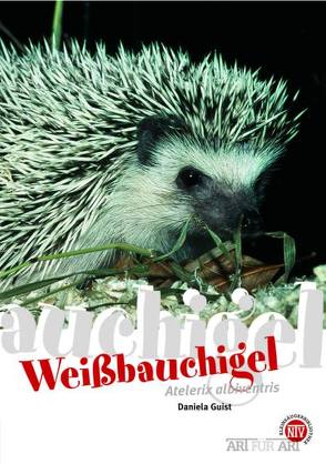 Weißbauchigel von Guist,  Daniela