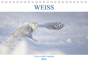 WEISS (Tischkalender 2021 DIN A5 quer) von Vollborn,  Marion