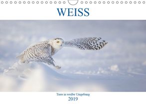 WEISS (Wandkalender 2019 DIN A4 quer) von Vollborn,  Marion