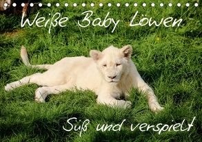 Weiße Baby Löwen – Süß und verspielt (Tischkalender 2018 DIN A5 quer) von Colista,  Christian