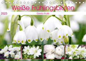 Weiße Frühlingsblüten (Tischkalender 2023 DIN A5 quer) von Kruse,  Gisela