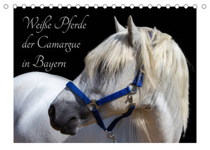 Weiße Pferde der Camargue in Bayern (Tischkalender 2023 DIN A5 quer) von brigitte jaritz,  photography