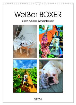 Weißer BOXER (Wandkalender 2024 DIN A3 hoch), CALVENDO Monatskalender von L.,  Manuela