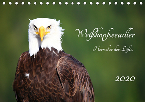 Weißkopfseeadler. Herrscher der Lüfte. 2020 (Tischkalender 2020 DIN A5 quer) von Anders,  Holm