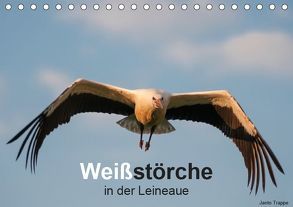 Weißstörche in der Leineaue (Tischkalender 2019 DIN A5 quer) von Trappe,  Janto