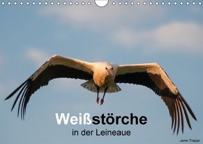 Weißstörche in der Leineaue (Wandkalender 2018 DIN A4 quer) von Trappe,  Janto