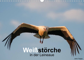 Weißstörche in der Leineaue (Wandkalender 2023 DIN A3 quer) von Trappe,  Janto