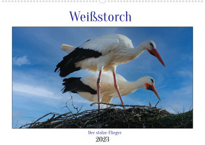 Weißstorch, der stolze Flieger (Wandkalender 2023 DIN A2 quer) von Geggier,  Mirjam