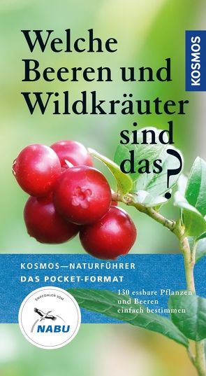 Welche Beeren und Wildkräuter sind das? von Dreyer,  Eva-Maria