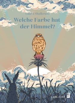 Welche Farbe hat der Himmel? von Baunacke,  Lena, Shallcrass,  Laura