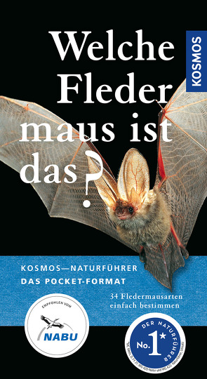 Welche Fledermaus ist das? von Richarz,  Klaus