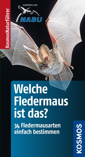 Welche Fledermaus ist das? von Richarz,  Klaus