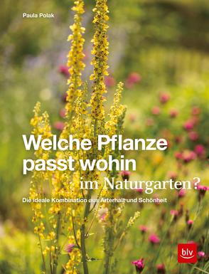 Welche Pflanze passt wohin im Naturgarten? von Polak,  Paula