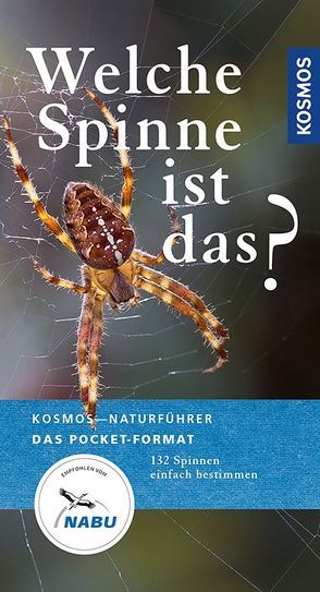 Welche Spinne ist das? von Baehr,  Martin