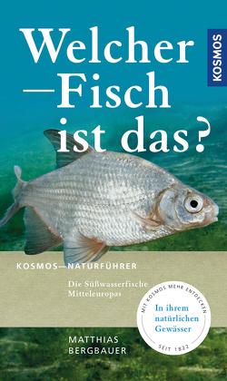 Welcher Fisch ist das? von Bergbauer,  Matthias