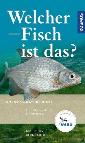 Welcher Fisch ist das? von Bergbauer,  Matthias