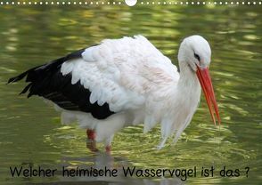 Welcher heimische Wasservogel ist das ? (Posterbuch DIN A3 quer) von Kattobello,  k.A.